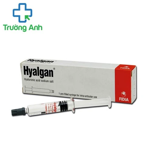 Hyalgan 20mg/2ml Fidia Pharma - Thuốc điều trị viêm khớp gối