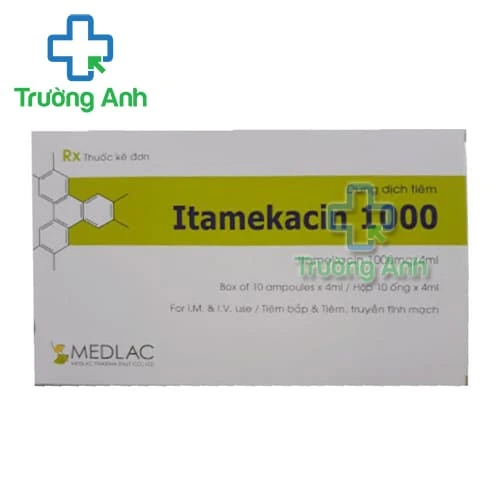 Itamekacin 1000mg/4ml Medlac - Thuốc điều trị nhiễm khuẩn