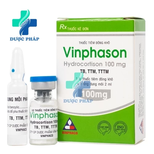 Vinphason 100mg Vinphaco -  Thuốc điều trị viêm xương khớp