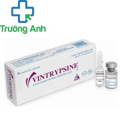 Vintrypsine 5000IU Vinphaco - Thuốc điều trị các chấn thương
