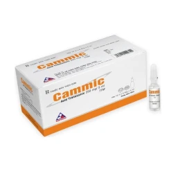 Cammic 250mg/5ml - Thuốc điều trị chảy máu bất thường tốt nhất