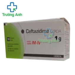Ceftazidime Gerda 1g - Thuốc điều trị nhiễm khuẩn nặng hiệu quả