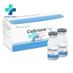 Ceftrione 1g - Thuốc điều trị nhiễm khuẩn hiệu quả của Bidiphar