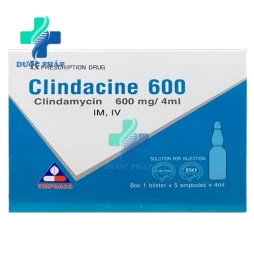 Clindacine 600mg Vinphaco - Điều trị nhiễm khuẩn hô hấp hiệu quả