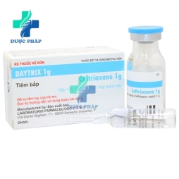 Daytrix 1g Laboratorio Farmaceutico - Điều trị nhiễm khuẩn nặng