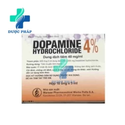 Dopamine hydrochloride 4% Warsaw - Điều trị rối loạn huyết động