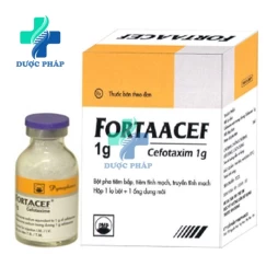 Fortaacef 2g Pymepharco - Thuốc điều trị nhiễm trùng nặng