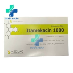 Itamekacin 1000mg/4ml Medlac - Thuốc điều trị nhiễm khuẩn