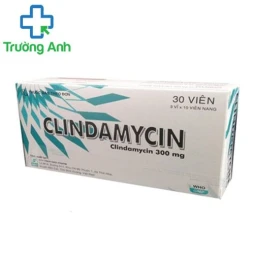 Clindamycin 300mg Davipharm - Thuốc điều trị nhiễm khuẩn hiệu quả