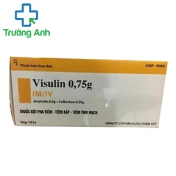 Vinsulin 0,75g VCP - Thuốc được dùng trong điều trị nhiễm khuẩn