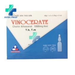 Vinocerate 1000mg/4ml Vinphaco - Điều trị các bệnh mạch máu não