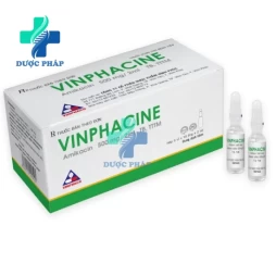 Vinphacine 500mg/2ml Vinphaco - Điều trị nhiễm khuẩn đường hô hấp